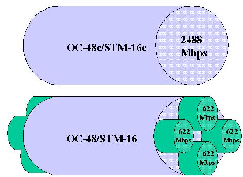 Comparing OC-48c/STM-16c and OC-48/STM-16